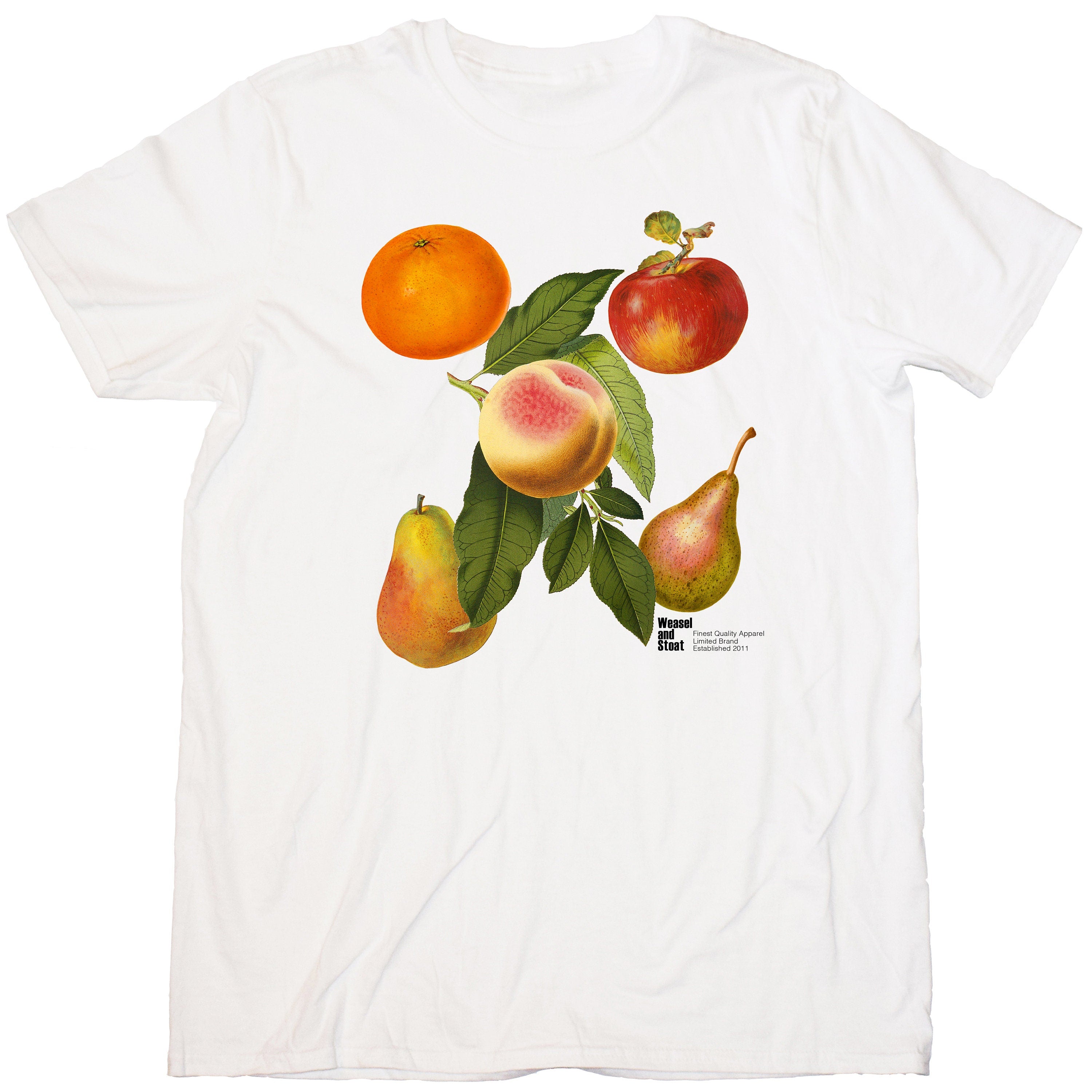 Vintage Fruit T-Shirt - Classic White Tee with British Fruit Illustration - Unisex Boho Apparel - Retro Botanical Shirt - Aesthetic Tee Gift