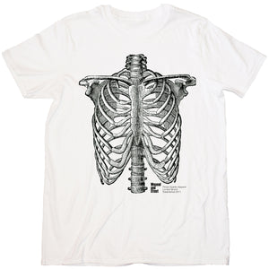 Vintage Skeleton Rib Cage T-Shirt | Classic White Unisex Tee | Old Medical Illustration | Skate & Surf Wear | Streetwear, Aesthetic Tee